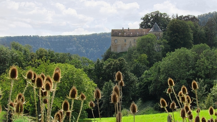 [Château de Roulans]
